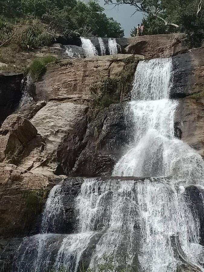 Dinimuthu Rest Inn Wellawaya Bagian luar foto