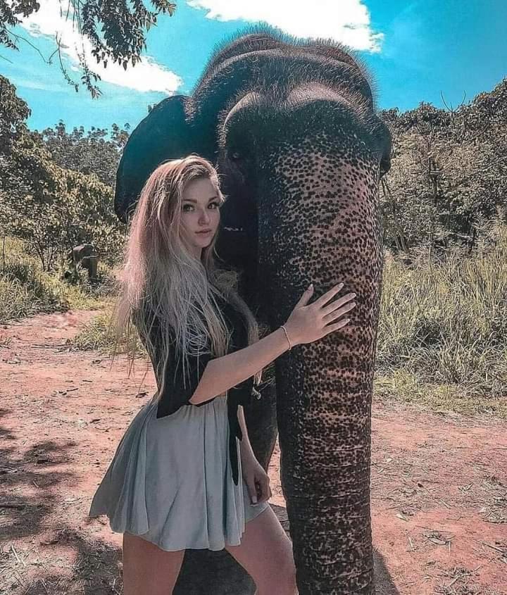 Dinimuthu Rest Inn Wellawaya Bagian luar foto