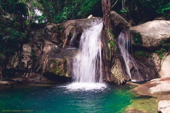 Dinimuthu Rest Inn Wellawaya Bagian luar foto