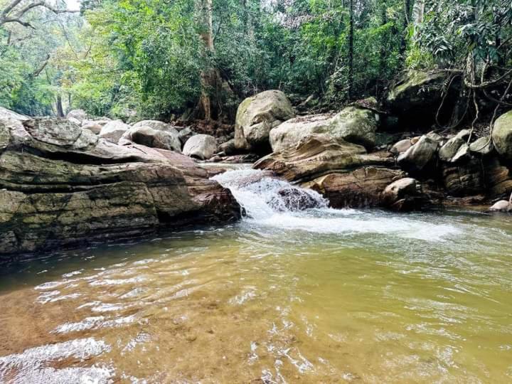 Dinimuthu Rest Inn Wellawaya Bagian luar foto